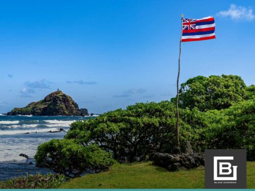 Landscape with the Hawaiian flag